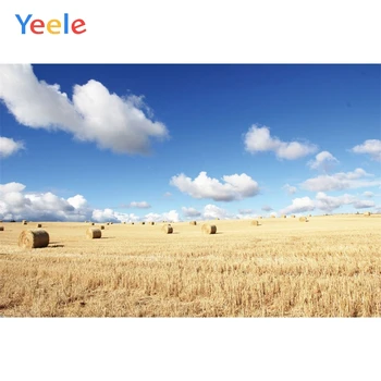 Yeele Autumn Farm Wheat Field Hay Harvest Scene Photographic Background Custom Vinyl Photography Backdrops For Photo Studio
Yeele Autumn Farm Wheat Field Hay Harvest Scene Photographic Background Custom Vinyl Photography Backdrops For Photo Studio