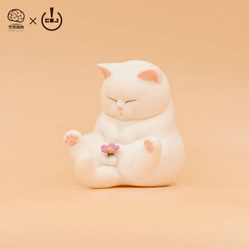 MDD005-选-纯白猫