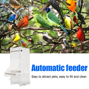 Pet Parrot Auto Transparent Feeder Birds Splash-proof Food Container Dispenser Eco-Friendly House Type Bird Feeder
Pet Parrot Auto Transparent Feeder Birds Splash-proof Food Container Dispenser Eco-Friendly House Type Bird Feeder
