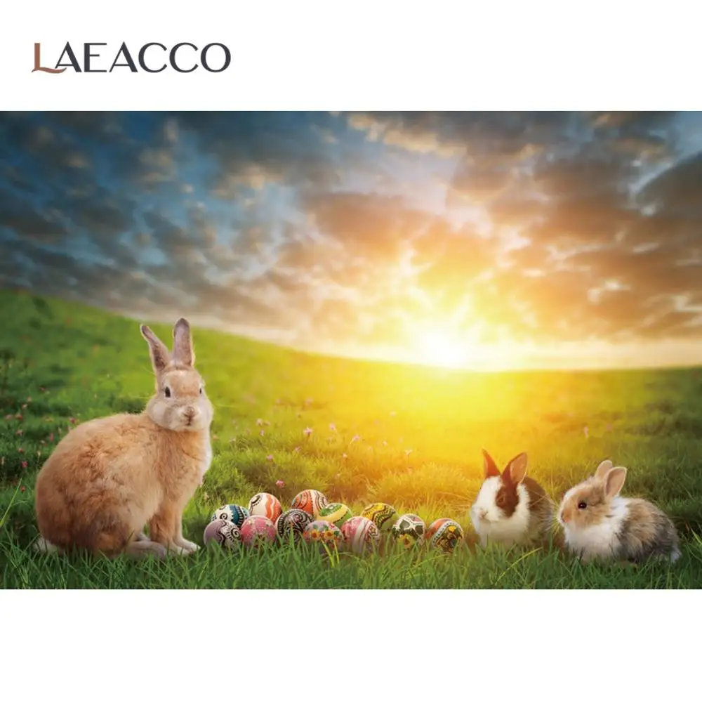 Laeacco Spring Green Grass Morning Sunrise Happy Easter Festivals Rabbit Egss Baby Scenic Photographic Background Photo Backdrop
Laeacco Spring Green Grass Morning Sunrise Happy Easter Festivals Rabbit Egss Baby Scenic Photographic Background Photo Backdrop