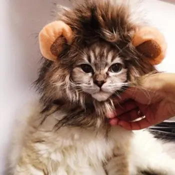 Cat Supplies Microphone Head Lion Head Fake Ear Turned Into A New Pet Funny Hat
Cat Supplies Microphone Head Lion Head Fake Ear Turned Into A New Pet Funny Hat