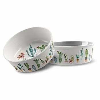 Mojo Animal Accessoires Cactus Medium pour Animal Domestique Bol
Mojo Animal Accessoires Cactus Medium pour Animal Domestique Bol