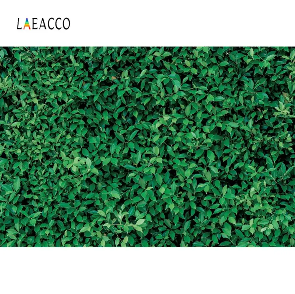 Laeacco Grass Green Screen Photo Backdrops Personalized Portrait Professional Photophone Vinyl Photo Background For Photo Studio
Laeacco Grass Green Screen Photo Backdrops Personalized Portrait Professional Photophone Vinyl Photo Background For Photo Studio