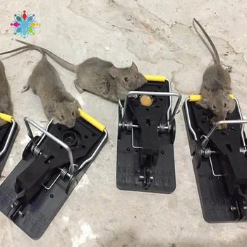 10Pcs Mouse Trap Professional Rat Trap Effective Mouse Traps Snap Trap Rodent Control Mouse Catcher TLS
10Pcs Mouse Trap Professional Rat Trap Effective Mouse Traps Snap Trap Rodent Control Mouse Catcher TLS