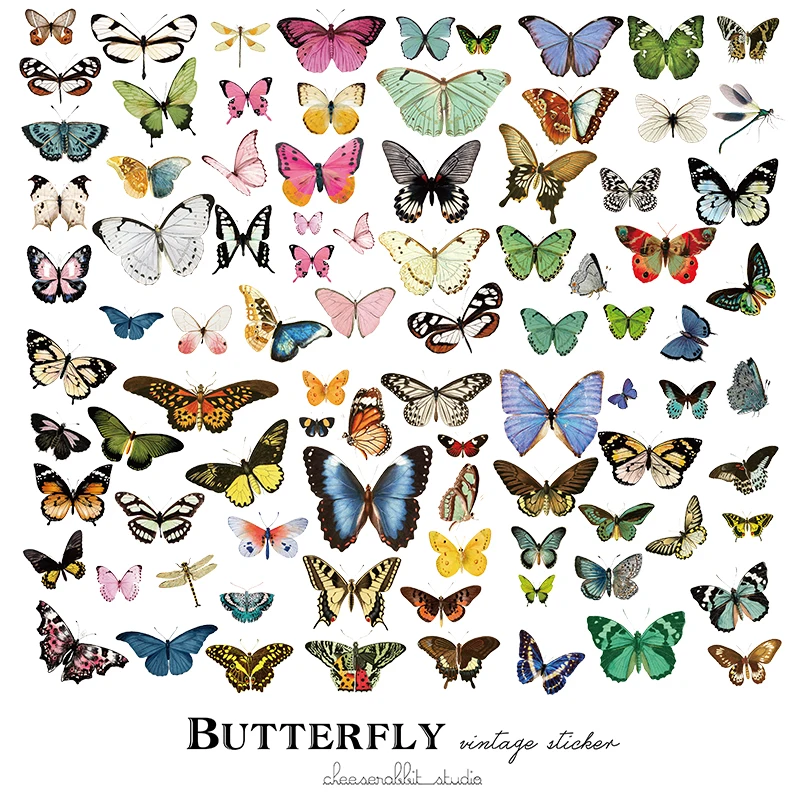 80 Butterfly diagram/Vellum Paper Stickers for Scrapbooking Happy Planner/Card Making/Journaling Project
80 Butterfly diagram/Vellum Paper Stickers for Scrapbooking Happy Planner/Card Making/Journaling Project