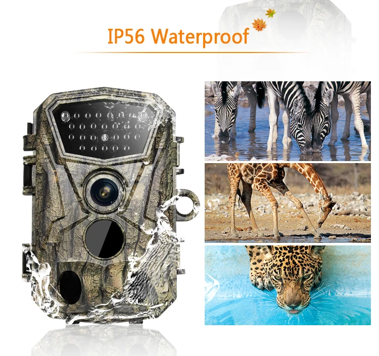 Hunting Trail Camera 5MP 1920P HD IR Night Vision 0.6s H883 Wateproof Tracking Camera HD Infrared Night Vision Scouting Camera
Hunting Trail Camera 5MP 1920P HD IR Night Vision 0.6s H883 Wateproof Tracking Camera HD Infrared Night Vision Scouting Camera