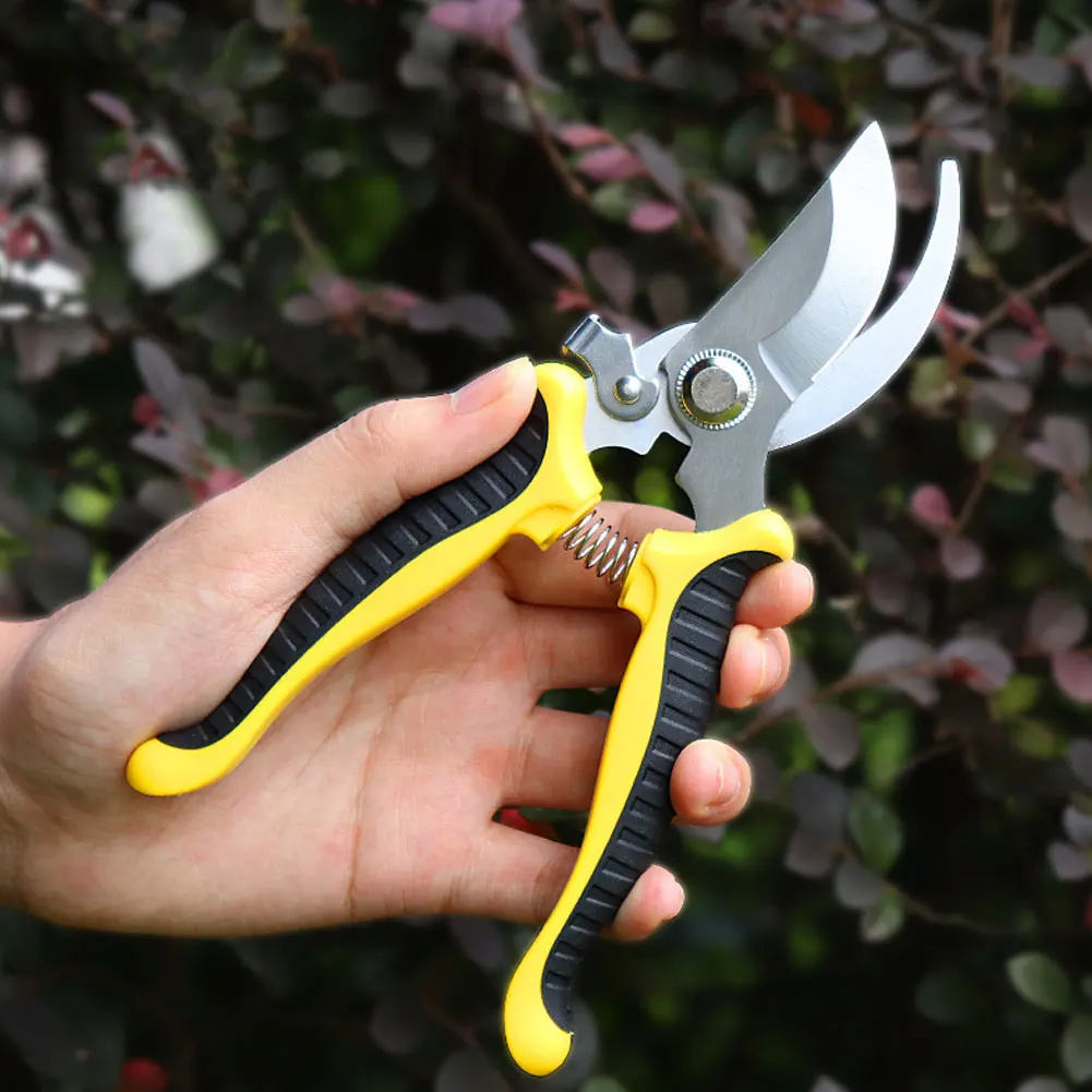 Horticultural Scissors Bird Beak Shape Branch Pruning Labor Saving Pruning Stainless Steel Picking Multifunctional Fruit Scissor
Horticultural Scissors Bird Beak Shape Branch Pruning Labor Saving Pruning Stainless Steel Picking Multifunctional Fruit Scissor