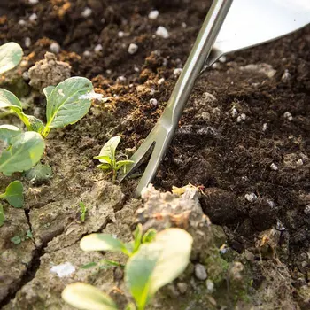 Stainless Steel Weeding Artifact Seedling Fork Rust-Proof Reduce Hand Fatigue Ergonomic Handle Potted Plants
Stainless Steel Weeding Artifact Seedling Fork Rust-Proof Reduce Hand Fatigue Ergonomic Handle Potted Plants