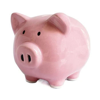 Pink Piggy Banks, Piggy Bank for Girls Boys Kids a New for Piggy Bank for Boys,Girls,Kids,Adult Coin Bank(Pink)
Pink Piggy Banks, Piggy Bank for Girls Boys Kids a New for Piggy Bank for Boys,Girls,Kids,Adult Coin Bank(Pink)