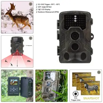 HC-800A Hunting Camera Photo Traps 1080P 16MP HD Wildlife Scouting Cam Night Vision Infrared Wildcamera Hunting Trail Cameras
HC-800A Hunting Camera Photo Traps 1080P 16MP HD Wildlife Scouting Cam Night Vision Infrared Wildcamera Hunting Trail Cameras
