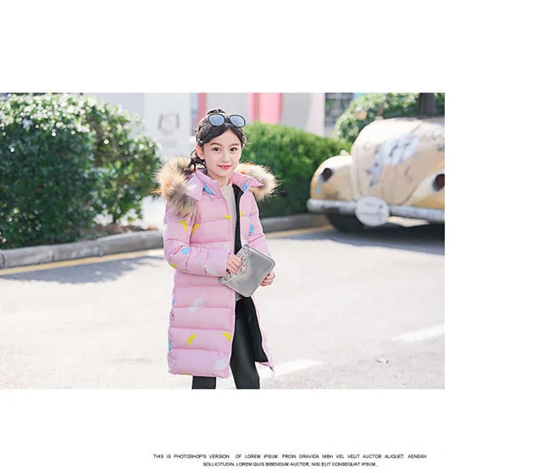 Girls Winter Coats Kids 2019 Winter Jacket For Girls Cotton-padded Clothes Children's Hooded Velour Girls Jackets Outwear 3-12t
