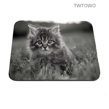 Amazed Fluffy Cat Mouse Pad Computer Notebook Gaming Mice Mat Pad Sizes 18*22cm and 21*26cm
Amazed Fluffy Cat Mouse Pad Computer Notebook Gaming Mice Mat Pad Sizes 18*22cm and 21*26cm