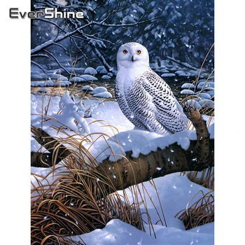 Evershine Diamond Painting Animals Owl Cross Stitch Diamond Embroidery Sale Full Drill Square Painting Rhinestones Mosaic Kit 
Evershine Diamond Painting Animals Owl Cross Stitch Diamond Embroidery Sale Full Drill Square Painting Rhinestones Mosaic Kit