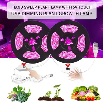 Plant Grow Light LED Plant Strip Lights Flexible Lamp for Greenhouse Hydroponics Flower Strip Lights Plant light strip
Plant Grow Light LED Plant Strip Lights Flexible Lamp for Greenhouse Hydroponics Flower Strip Lights Plant light strip