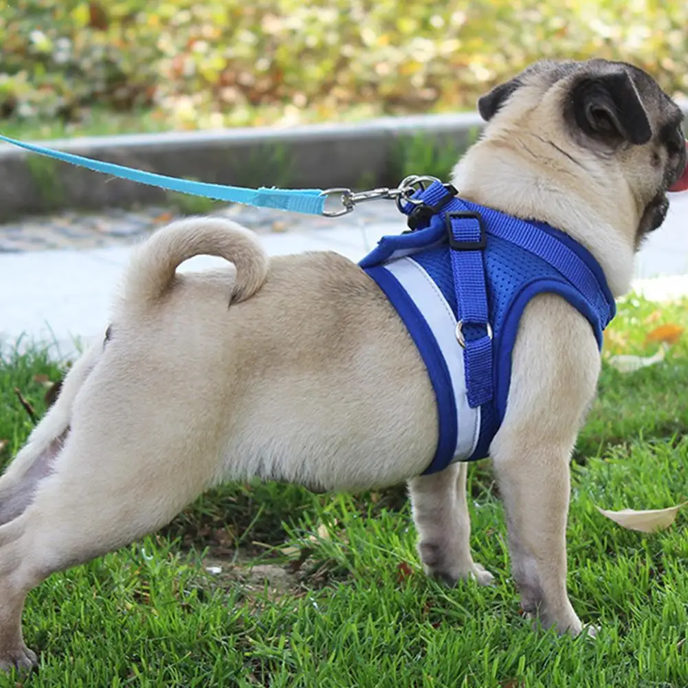 Reflective Cat Harness And Leash Set Nylon Mesh Kitten Pet Vest Harness Dogs Puppy Dogs For Small Leads Clothes Yorkies Pug V9B1
Reflective Cat Harness And Leash Set Nylon Mesh Kitten Pet Vest Harness Dogs Puppy Dogs For Small Leads Clothes Yorkies Pug V9B1