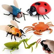 Strange Simulation Infrared Remote Control Insect Fly Bee Ladybug Crab Mantis Plastic Whole Funny Toy Intelligence RC Animals
Strange Simulation Infrared Remote Control Insect Fly Bee Ladybug Crab Mantis Plastic Whole Funny Toy Intelligence RC Animals