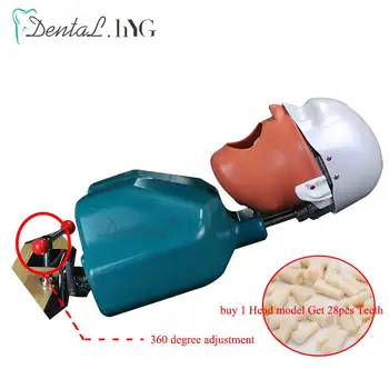 Dental Simulator Manikin Phantom Head Model With New Style Bench Mount Dental Models For Dentist Teaching 360 degreedegree
Dental Simulator Manikin Phantom Head Model With New Style Bench Mount Dental Models For Dentist Teaching 360 degreedegree
