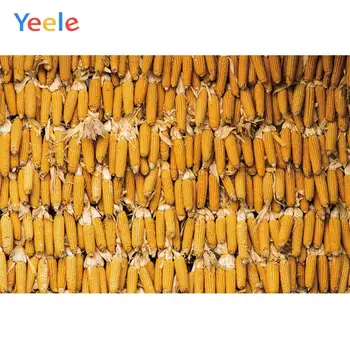Yeele Corn Cob Reward Scene Autumn Farm Party Cloth Photography Backdrops Portrait Photographic Backgrounds For Photo Studio
Yeele Corn Cob Reward Scene Autumn Farm Party Cloth Photography Backdrops Portrait Photographic Backgrounds For Photo Studio