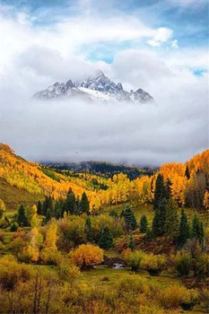 2020 MEIAN Diamond painting winter diamond embroidery snow landscape embroidery landscape full round mosaic cross decoration
2020 MEIAN Diamond painting winter diamond embroidery snow landscape embroidery landscape full round mosaic cross decoration