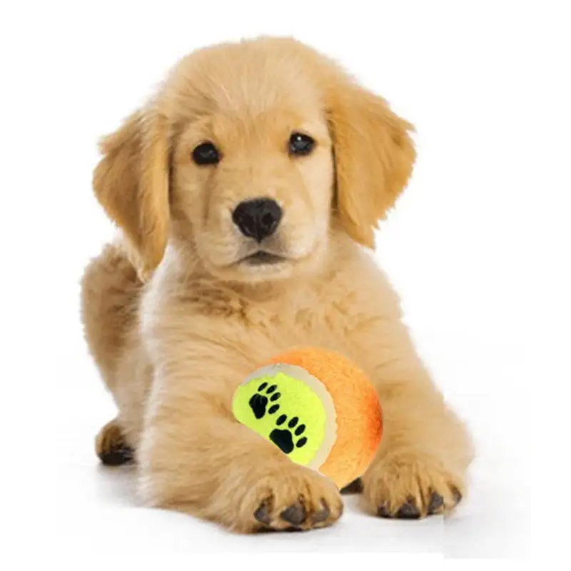 Interactive Tennis Launcher Dog Toys Automatic Mmachine Pet Mini Small Dog Toys For Tennis Ball Toy
Interactive Tennis Launcher Dog Toys Automatic Mmachine Pet Mini Small Dog Toys For Tennis Ball Toy