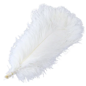 10pcs Big Pole White Ostrich feather 40-75CM Wedding Carnival stage performance Home Vase Ornament Decoration feather Accessory 
10pcs Big Pole White Ostrich feather 40-75CM Wedding Carnival stage performance Home Vase Ornament Decoration feather Accessory