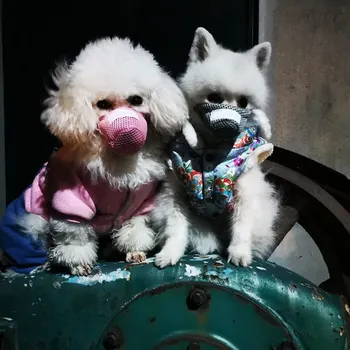 3D Dustproof And Antibacterial Pet Mask Anti-Haze For Dogs For Anti Virus Outdoor Travel Pet Care Supplies 
3D Dustproof And Antibacterial Pet Mask Anti-Haze For Dogs For Anti Virus Outdoor Travel Pet Care Supplies