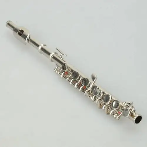 C Tone Cupronickel Piccolo Silver musical instruments professional school band home lessons
C Tone Cupronickel Piccolo Silver musical instruments professional school band home lessons