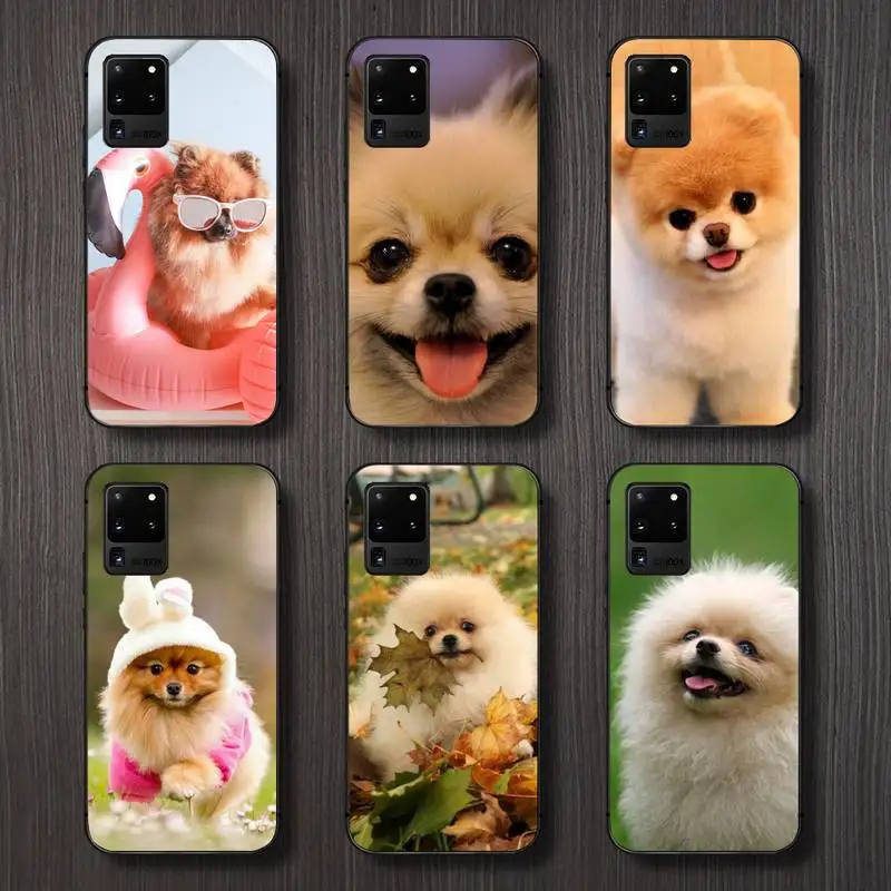 Pomeranian dog animal cute Phone Case For Samsung galaxy S 7 8 9 10 20 edge A 6 10 20 30 50 51 70 note 10 plus
Pomeranian dog animal cute Phone Case For Samsung galaxy S 7 8 9 10 20 edge A 6 10 20 30 50 51 70 note 10 plus