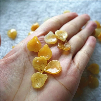 10pc 14x12mm Hand Carved Natural Stone Daffodil Petals Gemstone Loose Bead Components Crytal Beads DIY Jewelry Making DYL0121
10pc 14x12mm Hand Carved Natural Stone Daffodil Petals Gemstone Loose Bead Components Crytal Beads DIY Jewelry Making DYL0121