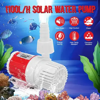 1100L/H 5m DC Solar Brushless Motor Water Circulation Water Pump Submersibles Water Pump Fish Pond Aquarium Water Fountain Pump
1100L/H 5m DC Solar Brushless Motor Water Circulation Water Pump Submersibles Water Pump Fish Pond Aquarium Water Fountain Pump