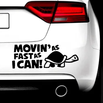 Car-styling tortoise Car Stickers Interesting Reflective Car Stickers Decals
Car-styling tortoise Car Stickers Interesting Reflective Car Stickers Decals