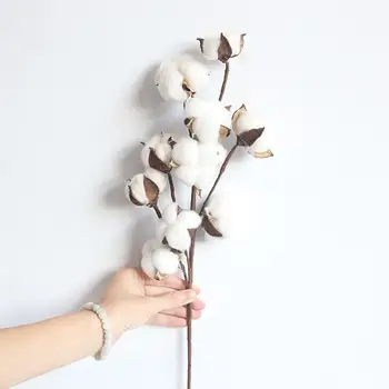 Dried white Cotton Fake Flowers Stems Farmhouse Style Artificial Filler Flower Pompom Floral Naturally 5 oct 
Dried white Cotton Fake Flowers Stems Farmhouse Style Artificial Filler Flower Pompom Floral Naturally 5 oct