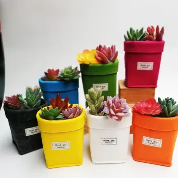 13 Color Mini Succulents Planter Pot Washable Felt Flowerpot Creative Desktop Flower Pots Multifunction Storage Home Storage Bag
13 Color Mini Succulents Planter Pot Washable Felt Flowerpot Creative Desktop Flower Pots Multifunction Storage Home Storage Bag