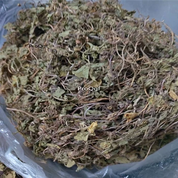 Ngryise 300Gram A Set Centella asiatica
Ngryise 300Gram A Set Centella asiatica