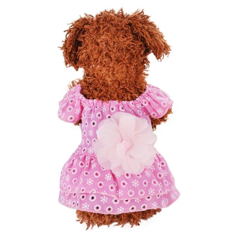 Spring Dog Lace Princess Dress Pet Clothes Small Dog Skirt Summer Thin Section Romantic Wave Point Gauze Skirt
Spring Dog Lace Princess Dress Pet Clothes Small Dog Skirt Summer Thin Section Romantic Wave Point Gauze Skirt