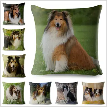 Cute SheltiePet Border Collie Dog Cushion Covers Pillow Car Sofa Home Decor 
Cute SheltiePet Border Collie Dog Cushion Covers Pillow Car Sofa Home Decor