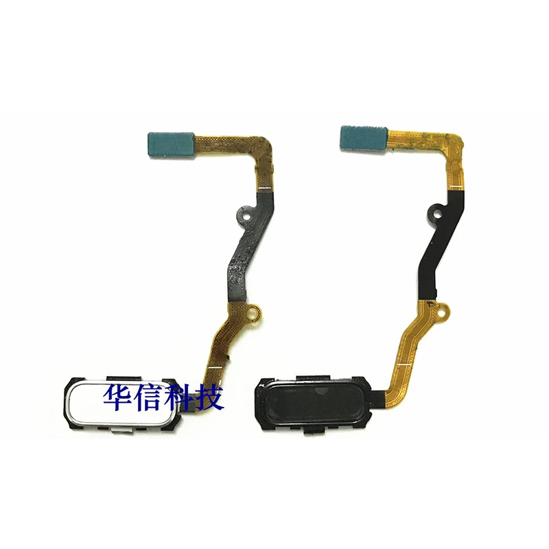 F For Samsung Galaxy S7 G930F G930V Menu Key Return Recognition Sensor Home Button Flex Cable
F For Samsung Galaxy S7 G930F G930V Menu Key Return Recognition Sensor Home Button Flex Cable