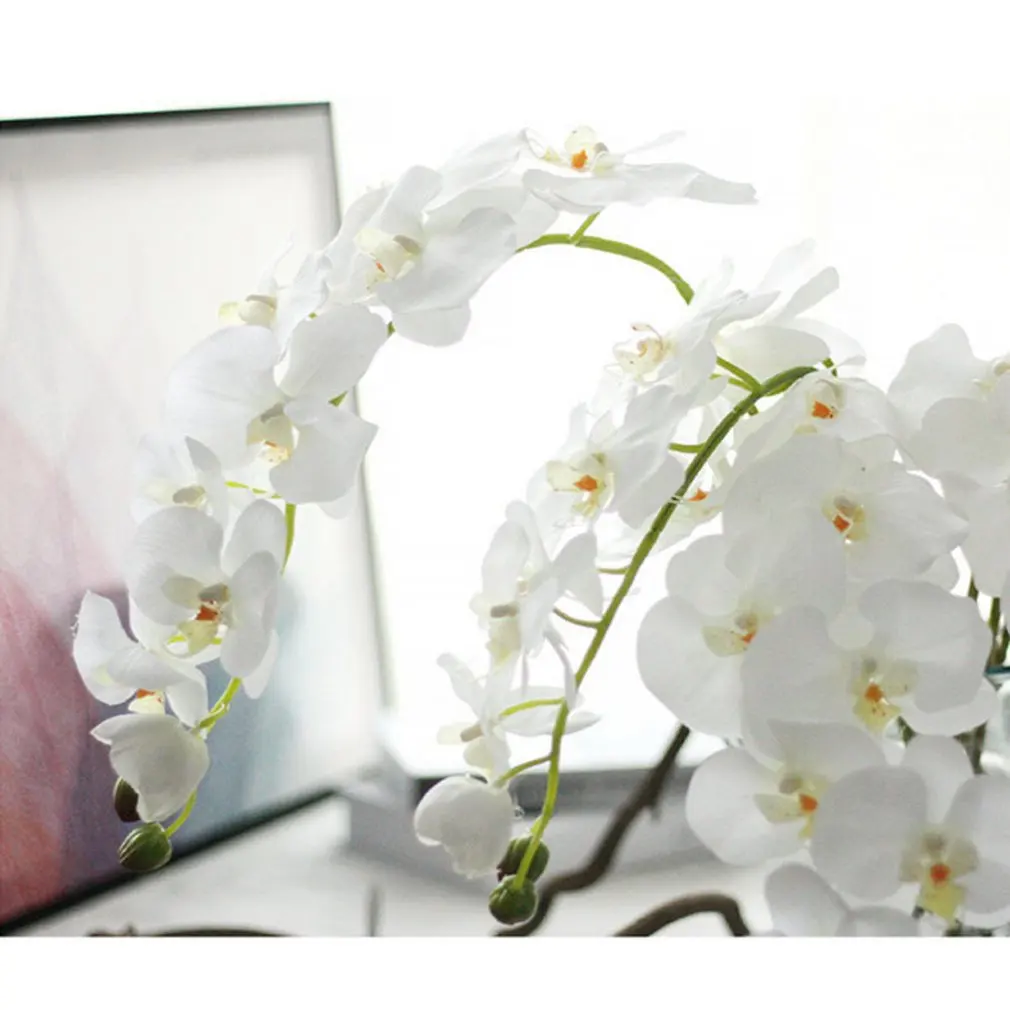 Extra Large Wedding Holiday Flower Phalaenopsis Feels Glue Moisturizing Artificial Flower Home Decoration Simulation Plant
Extra Large Wedding Holiday Flower Phalaenopsis Feels Glue Moisturizing Artificial Flower Home Decoration Simulation Plant