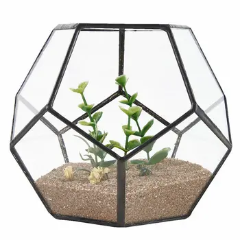 Black Glass Pentagon Geometric Terrarium Container Window Sill Decor Flower Pot Balcony Planter Diy Display Box (No Plant)
Black Glass Pentagon Geometric Terrarium Container Window Sill Decor Flower Pot Balcony Planter Diy Display Box (No Plant)