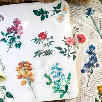 40 Pcs/bag Vintage Plant Leaves Floral Transparent PET Sticker DIY Diary Journal Decoration Sticker Album Scrapbooking
40 Pcs/bag Vintage Plant Leaves Floral Transparent PET Sticker DIY Diary Journal Decoration Sticker Album Scrapbooking