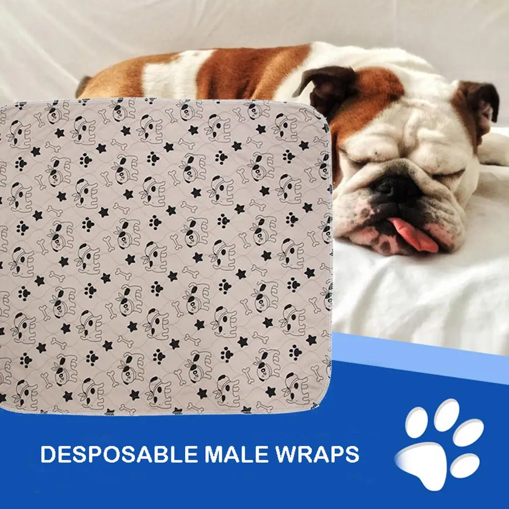 Pet Dog Pee Diaper Mat Pad Three-layer Waterproof PVC Cute Pattern Cat Urine Pad Reusable Washable Pee Mattress Cushion
Pet Dog Pee Diaper Mat Pad Three-layer Waterproof PVC Cute Pattern Cat Urine Pad Reusable Washable Pee Mattress Cushion