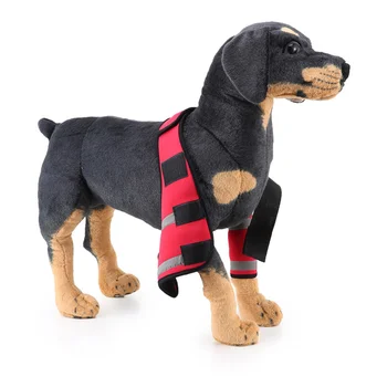1pc Pet Dog Brace Pain Relieve Soft Reflective Joint Protective Wrap Bandage for Injury TB Sale
1pc Pet Dog Brace Pain Relieve Soft Reflective Joint Protective Wrap Bandage for Injury TB Sale