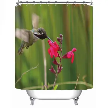 Hummingbird Afternoon Arizona Sonora Desert Museum Soft Shower Curtain,Tucson,79''L x 71''W 
Hummingbird Afternoon Arizona Sonora Desert Museum Soft Shower Curtain,Tucson,79''L x 71''W