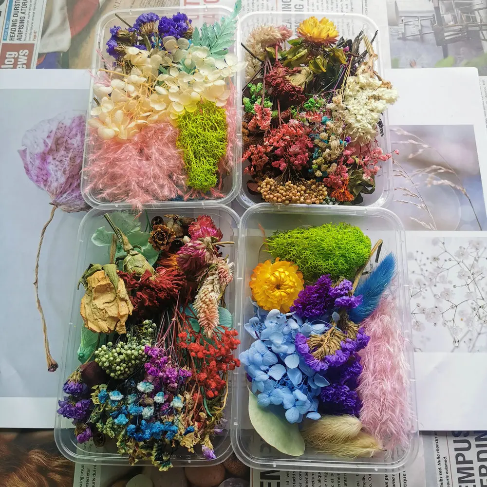 1Box Natural Dried Flower/Plants For Diy Handicraft Epoxy Resin Charm Pendant Aromatherapy Candle
1Box Natural Dried Flower/Plants For Diy Handicraft Epoxy Resin Charm Pendant Aromatherapy Candle