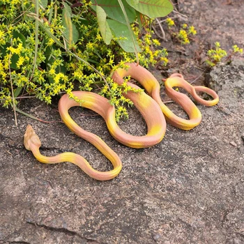 Big Size Animal Model Simulation Realistic Rubber Snake Horror Prank Snake Toy Halloween Props High Simulation Animal Snake Toys
Big Size Animal Model Simulation Realistic Rubber Snake Horror Prank Snake Toy Halloween Props High Simulation Animal Snake Toys