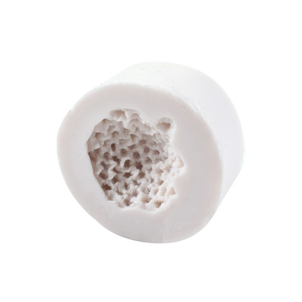 YYPE0081-1-C2