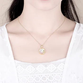 Korean-style INS Ornament S925 Fine Silver shi er xinzuo Shell Necklace Women's Elegant Pearl Fritillary Pendant Choker
Korean-style INS Ornament S925 Fine Silver shi er xinzuo Shell Necklace Women's Elegant Pearl Fritillary Pendant Choker