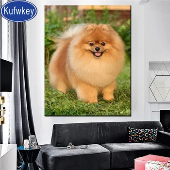 Pomeranian dog Full Square round Diamond painting mosaic crystal painting diy diamond embroidery animal fat pet rhinestone art, 
Pomeranian dog Full Square round Diamond painting mosaic crystal painting diy diamond embroidery animal fat pet rhinestone art,