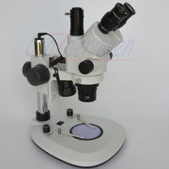 FYSCOPE Track Pillar Stand Stereo Microscope- 3.5X-45X Simul Focal Trinocular Microscope with Dual LED Lights
FYSCOPE Track Pillar Stand Stereo Microscope- 3.5X-45X Simul Focal Trinocular Microscope with Dual LED Lights