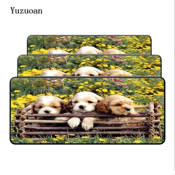 Yuzuoan Three Dogs With Flower Lock Edge Large Animal Pad to Mouse Computer Desk Mouse pad Boy Gift Gaming Mice Mats For Gamer
Yuzuoan Three Dogs With Flower Lock Edge Large Animal Pad to Mouse Computer Desk Mouse pad Boy Gift Gaming Mice Mats For Gamer
